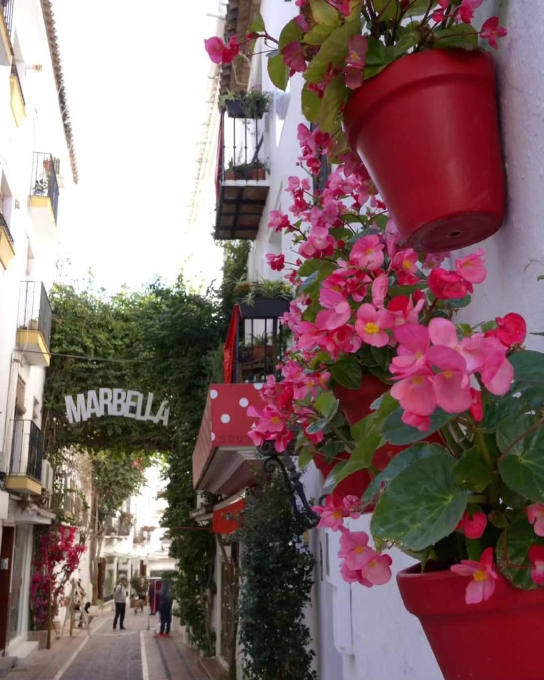 Casa La Tapita Lejlighed Marbella Eksteriør billede